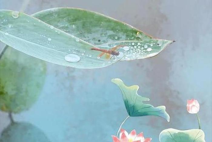 佛教徒可以杀蚊子吗；信佛可以杀蚊子吗