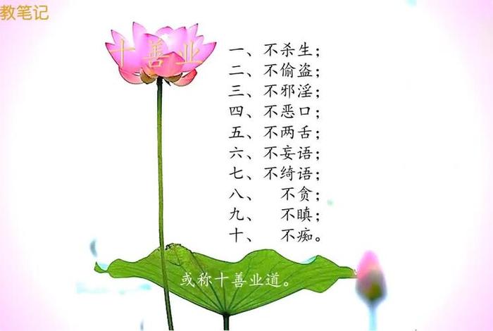 佛教术语集名词解释（佛教常用名词术语）