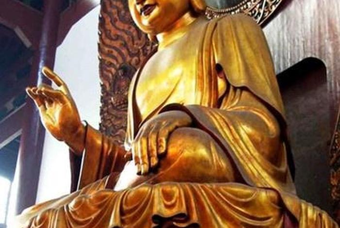 佛教讲没有后代的人 佛教讲没有后代的人怎么办