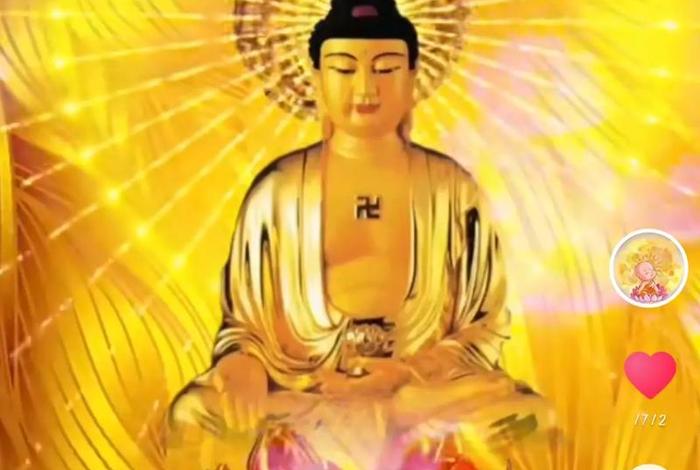 抖音佛学号，佛教抖音号