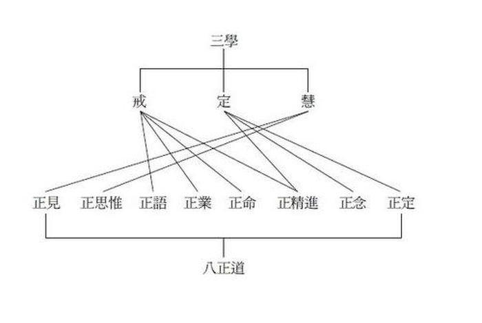 佛教六根从何而来；佛教说的六根是什么