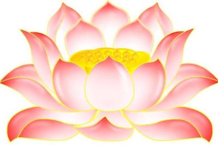 佛教视频在哪里下载（佛教视频大全视频下载）