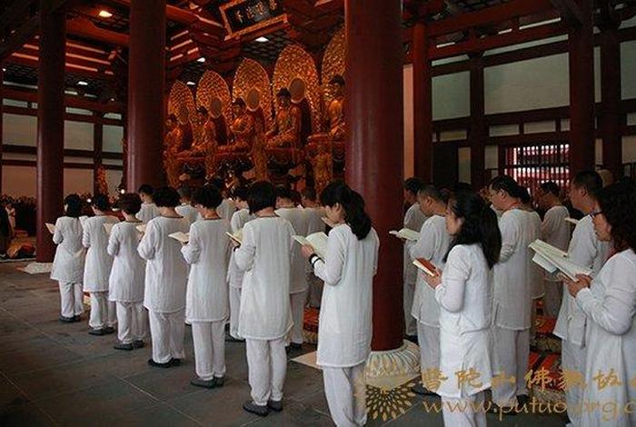 佛教居士讲亲身经历 佛学居士
