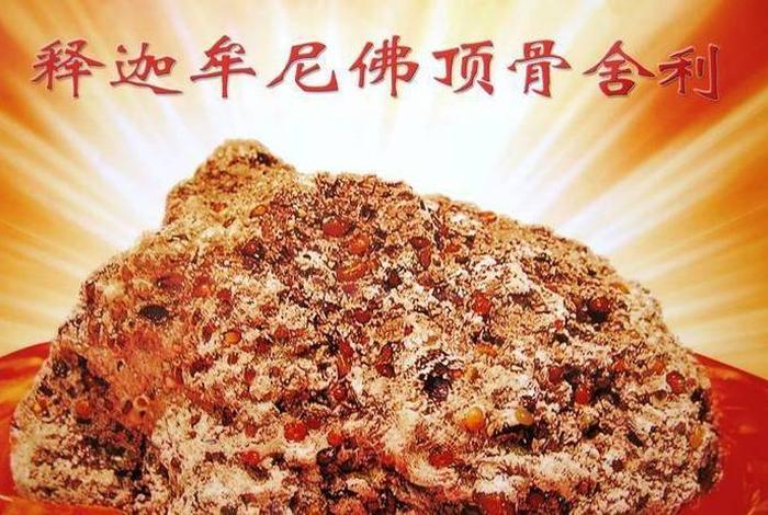 舍利子的佛教解释和科学解释，舍利子的佛教解释和科学解释一样吗