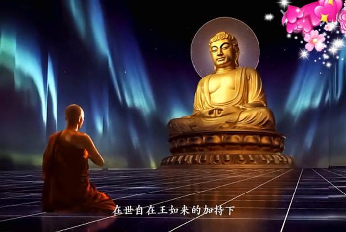 佛教解说视频，讲解佛教视频