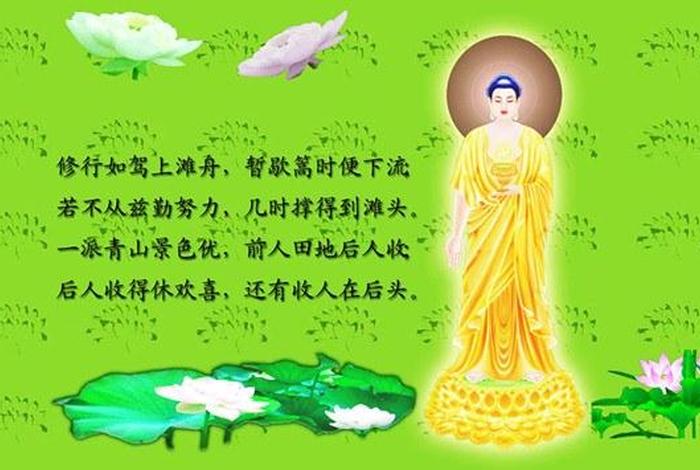 佛法中什么叫依法不依人、学佛依法不依人