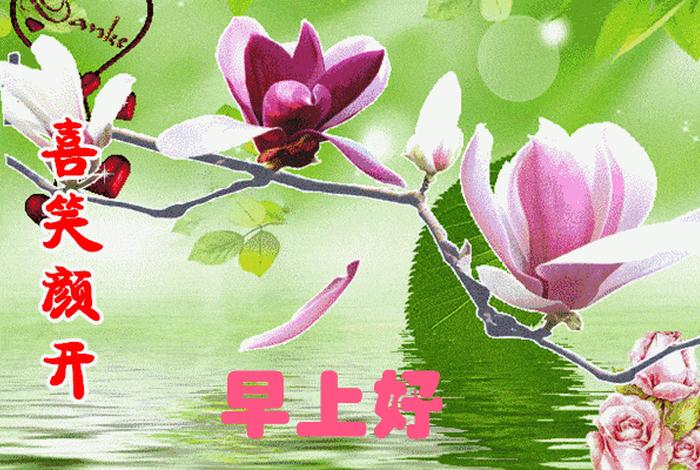 微信朋友圈可以发动图吗（微信朋友圈能发动态图片吗）