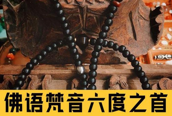 佛语中的菩提是什么意思，佛语中的菩提是什么意思啊