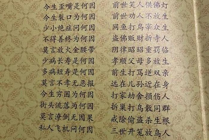 阴律无情全集视频；阴律无情这本书