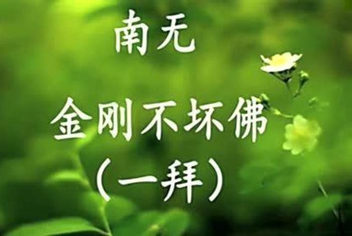 佛教基础知识忏悔视频大全、佛教忏悔经典语录