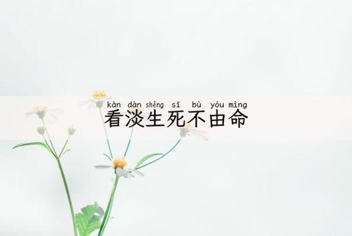 佛教对于生死的感悟（佛教感悟生死的经典句子）