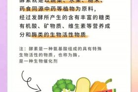 佛教酵素知识有哪些 酵素五大功效