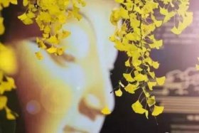 佛教里发心是什么意思；佛教里的发心是什么意思