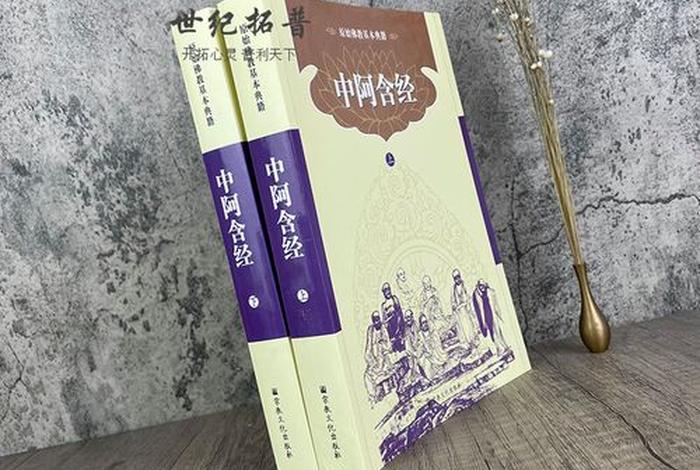 有没有什么书是关于佛学的 佛学相关书籍