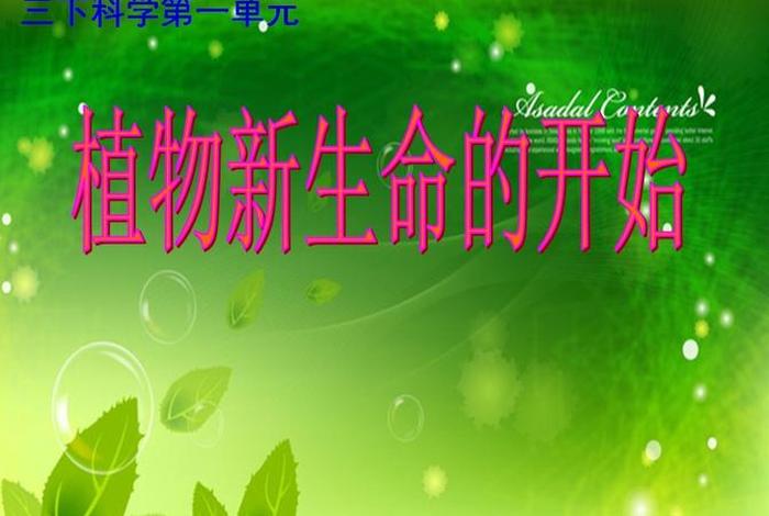 生命的起始（生命的起始叫什么）