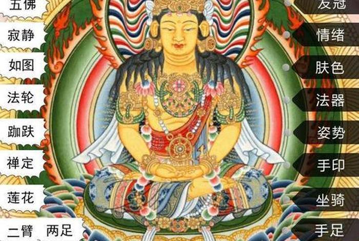 佛教常识佛分类（佛教有哪些分类方式）