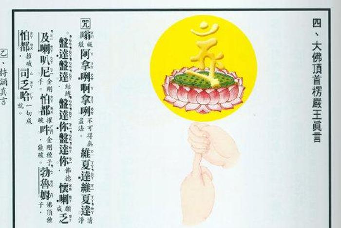 净字在佛法里面的解释 - 净字在佛法里面的解释和意思