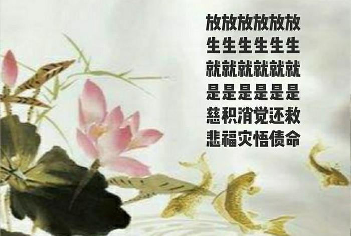 佛说放生功德经 佛学放生的功德