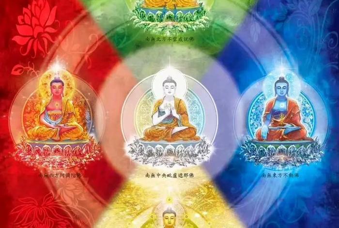 佛教的五根五佛指什么，佛教五根清净是哪五根