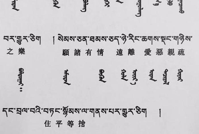 佛教常用术语、佛教常用术语辞典 刘元凯