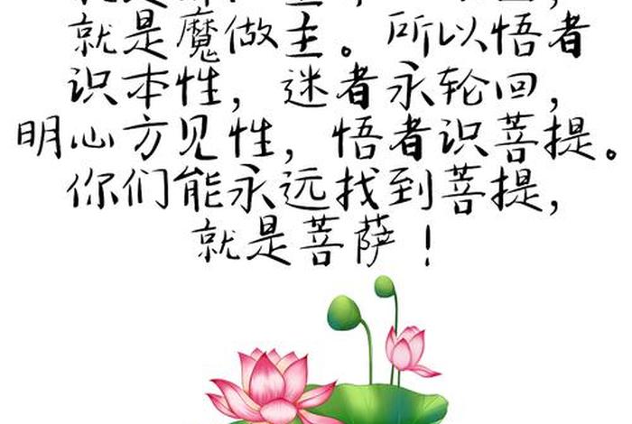 图文佛学常识大全集目录 - 佛学图片大全唯美带字
