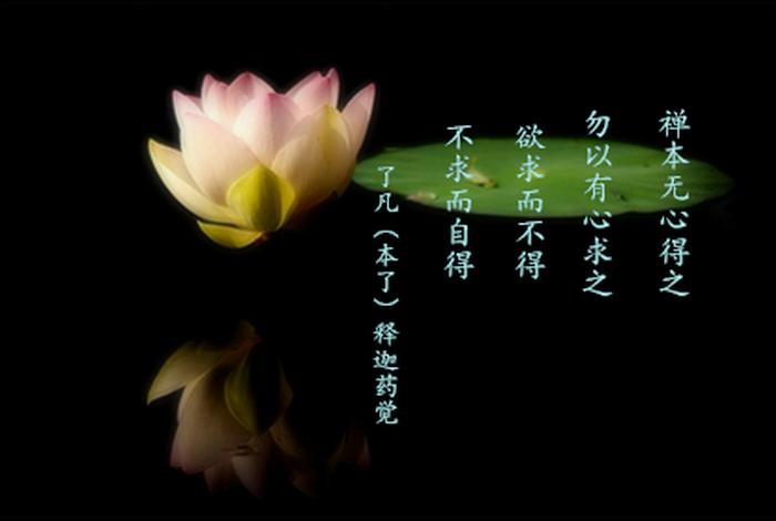 佛教用语知识点大全集，佛教用浯