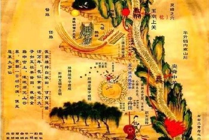 道教入门基本知识图片，道教入门基础
