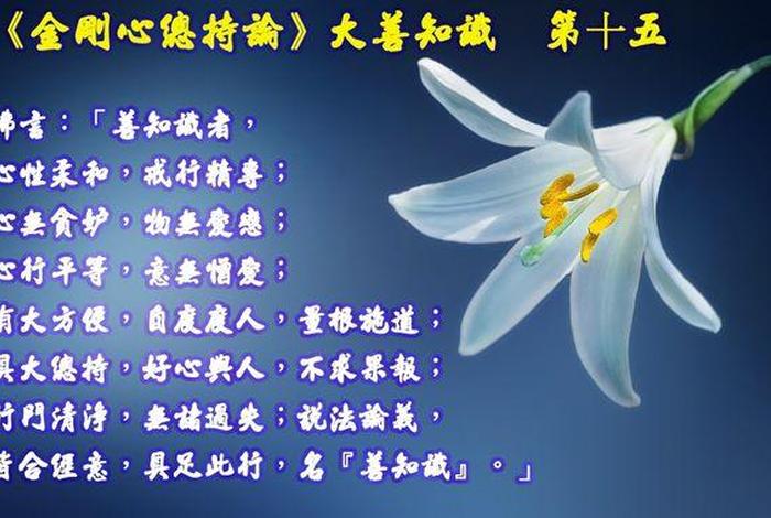 佛教对善的理解、佛教对善的理解有哪些
