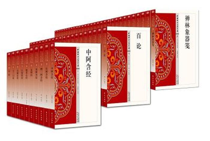 中国佛学经典宝藏pdf（中国佛学经典宝藏百度网盘）