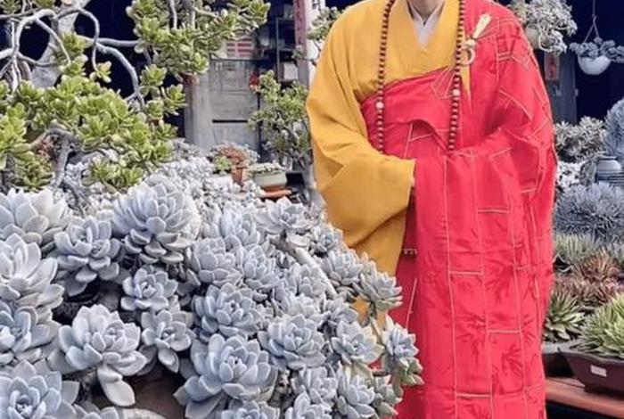 僧的意思，挂搭僧的意思