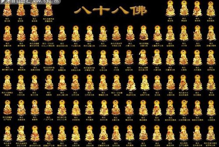 大佛的知识大全 - 大佛资料