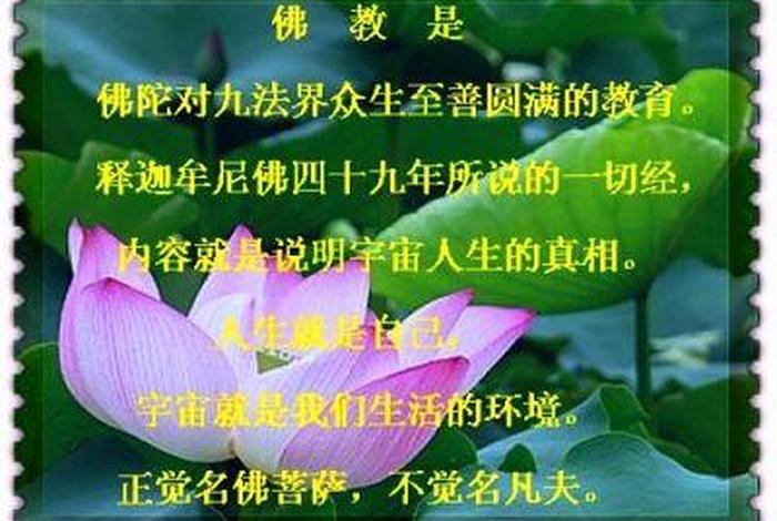 图文佛学常识大全图片下载（图文佛学常识大全图片下载软件）