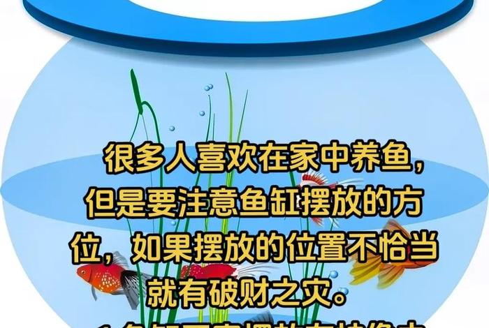 风水类知识；风水方面的知识