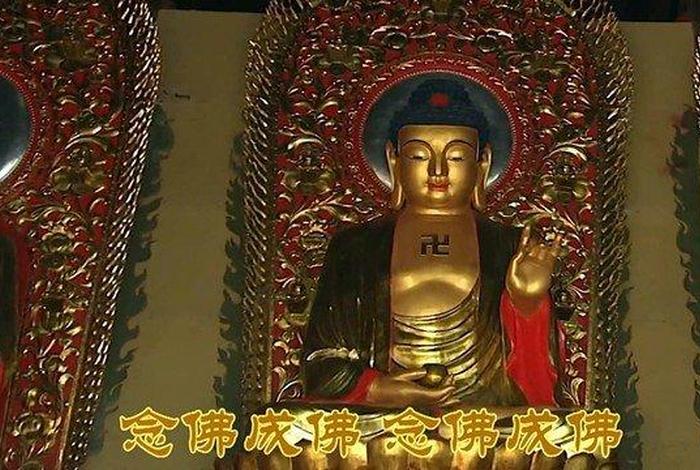 听大师讲佛法能一边念佛吗（一边念佛一边观心可以吗）