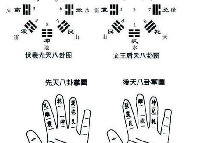 玄学算卦入门、玄学算卦入门视频
