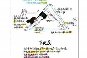单盘腿最快锻炼方法 单盘腿最快锻炼方法是什么