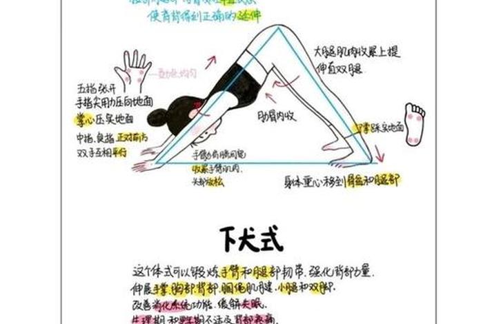 单盘腿最快锻炼方法 单盘腿最快锻炼方法是什么