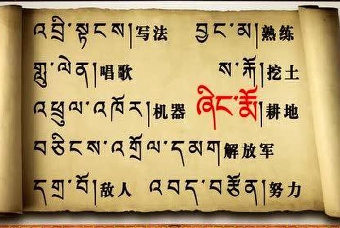 在哪里学藏文专业最好 - 我想学藏文怎么办