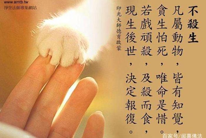 佛教关于放生的经文 - 佛说放生经