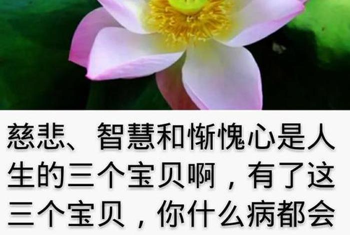 佛教感恩的图片（佛教感恩图片带字唯美图片）