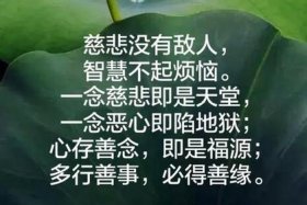 佛教慈悲是什么意思（佛学慈悲）