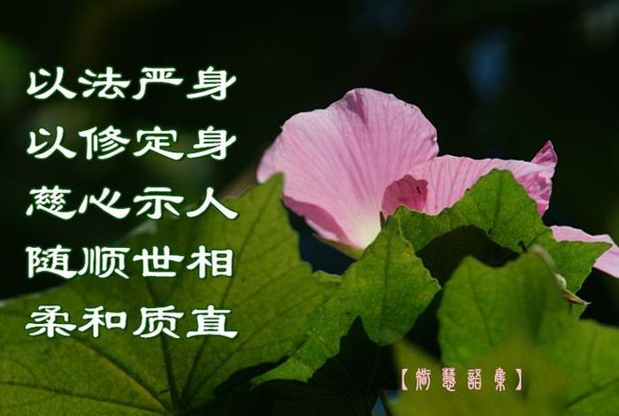 佛法里劫的概念 佛语中的劫是什么意思