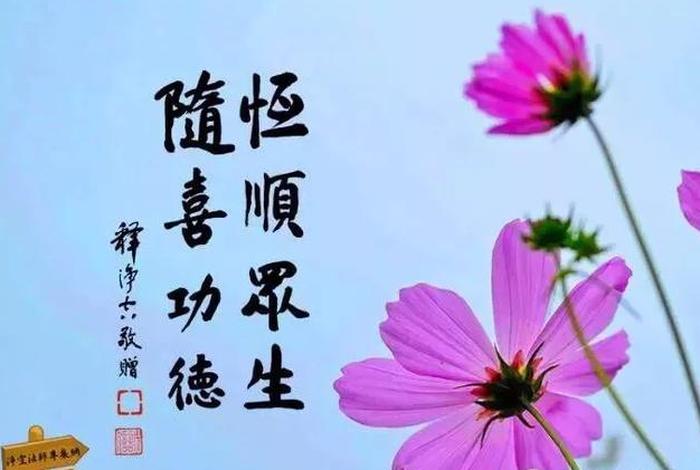佛友说随喜赞叹要说什么，佛友说随喜赞叹要说什么意思