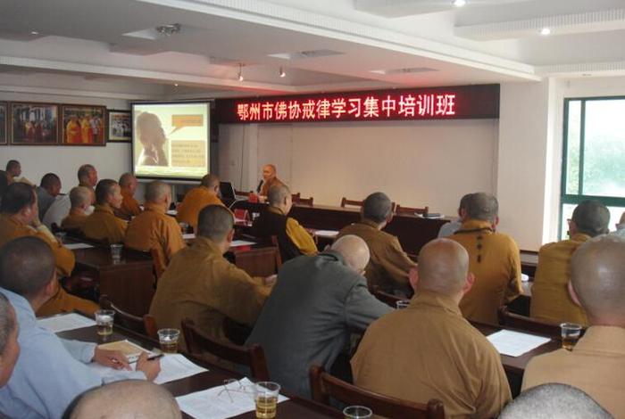 在佛教界戒律培训班的讲话，在佛教界戒律培训班的讲话内容