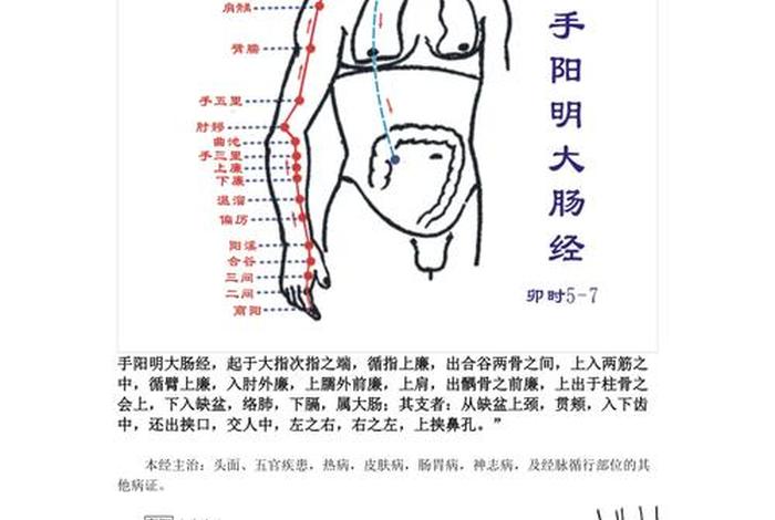 三阴学说指的是什么 三阴分别是什么