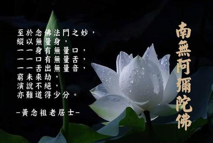佛学常识 怎样念佛号；如何念佛号