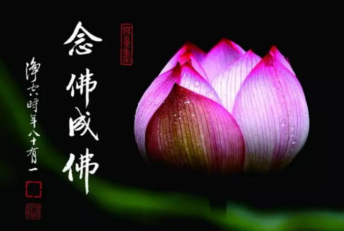 梦见给别人讲佛教知识什么意思，梦到给别人讲解