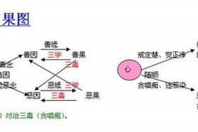 佛教因果律决定论 - 佛教因果的定律