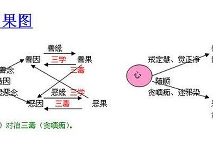 佛教因果律决定论 - 佛教因果的定律