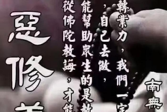 功德智慧的经典语录（功德和智慧）